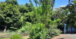 Bacolet Bliss – a rare beachfront gem